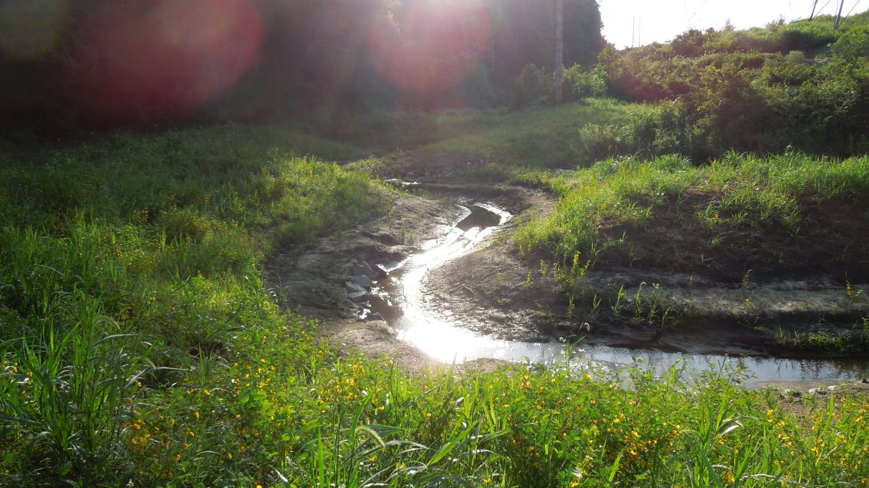 Muddy creek sunset