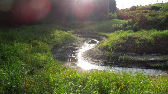 Muddy creek sunset