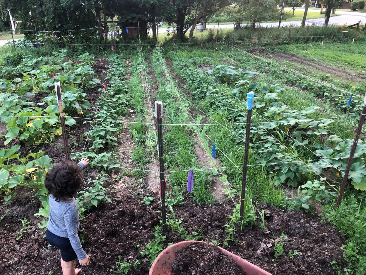 Community Ecology Center garden