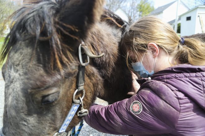 Timberbrook Equine Therapy Farm is Expanding its Services Thanks to new Exelon Grant