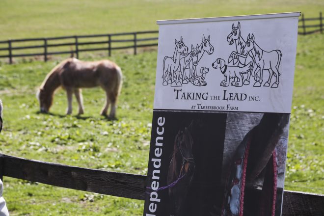 Timberbrook Equine Therapy Farm is Expanding its Services Thanks to new Exelon Grant