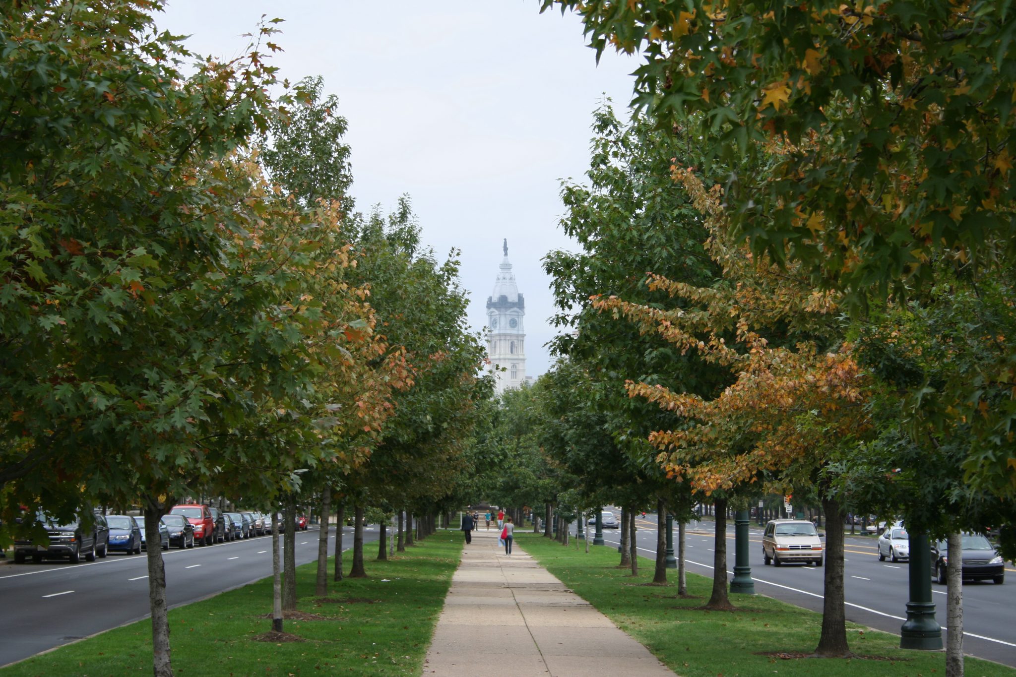 The Vital Role of Trees in PECO’s Energy Efforts PECO Connection