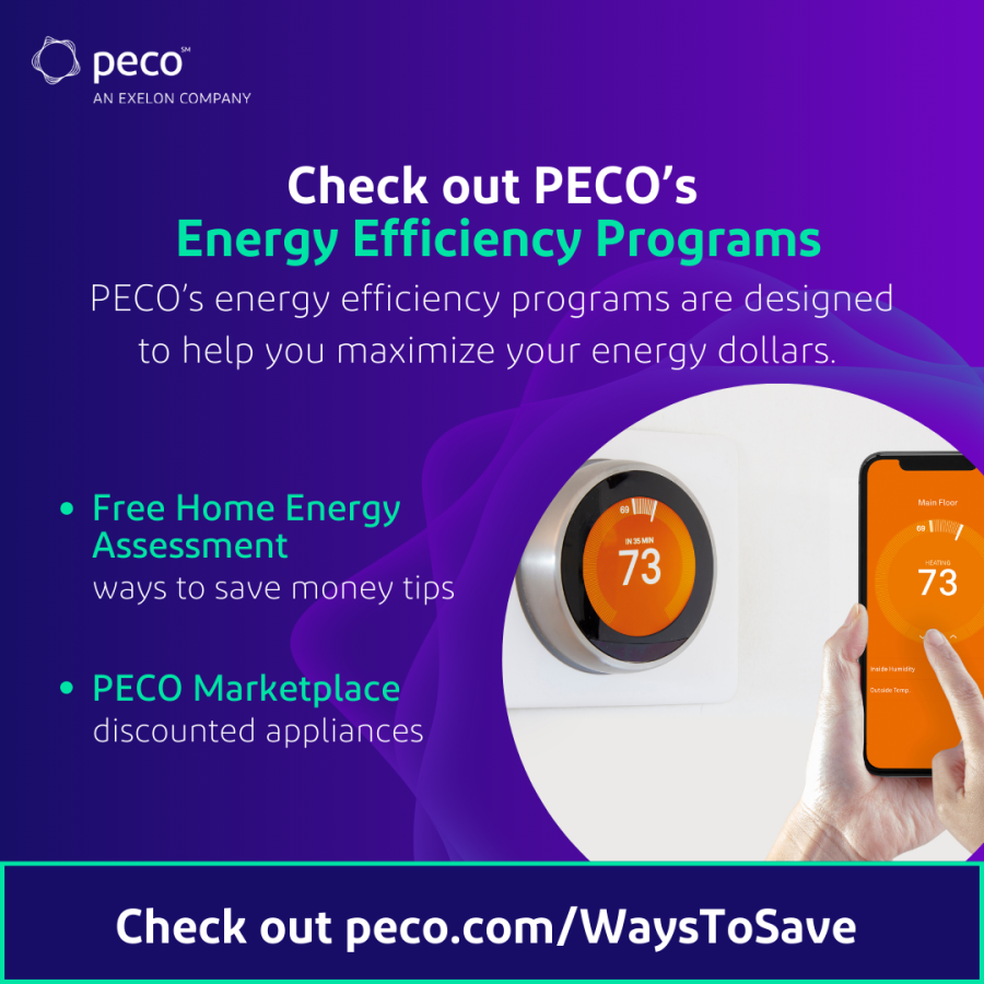 5 Ways to Control Your Energy Costs PECO Connection PECO Connection