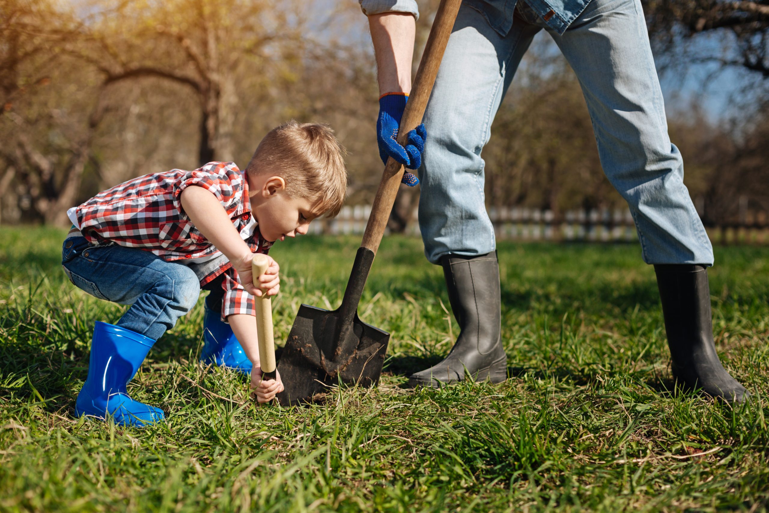 Planning yard work this spring? Focus on safety!