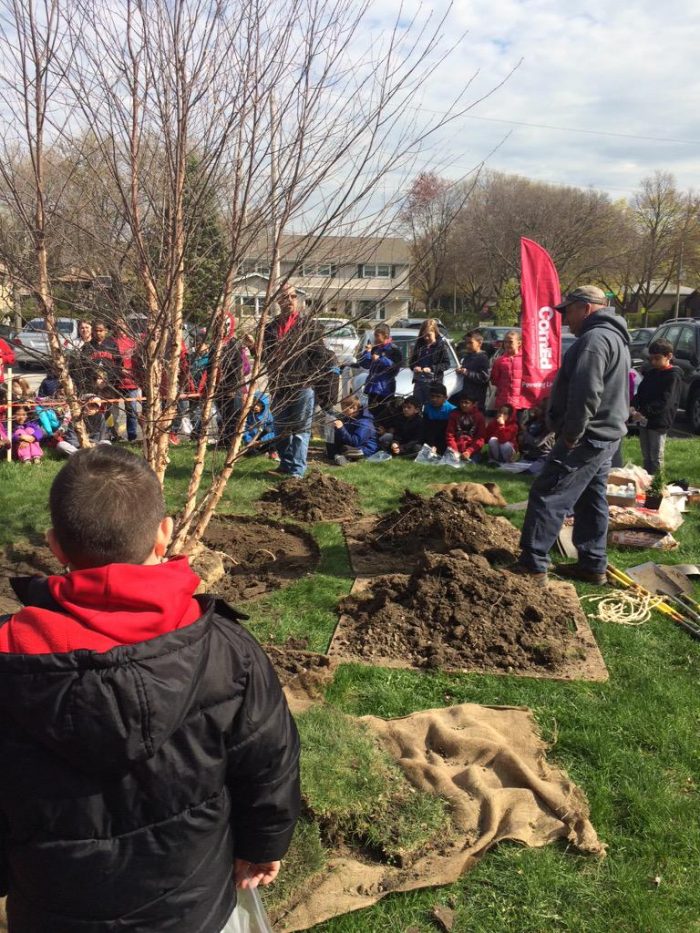 Green thumbs are in season as ComEd deploys 3,300 trees just in time