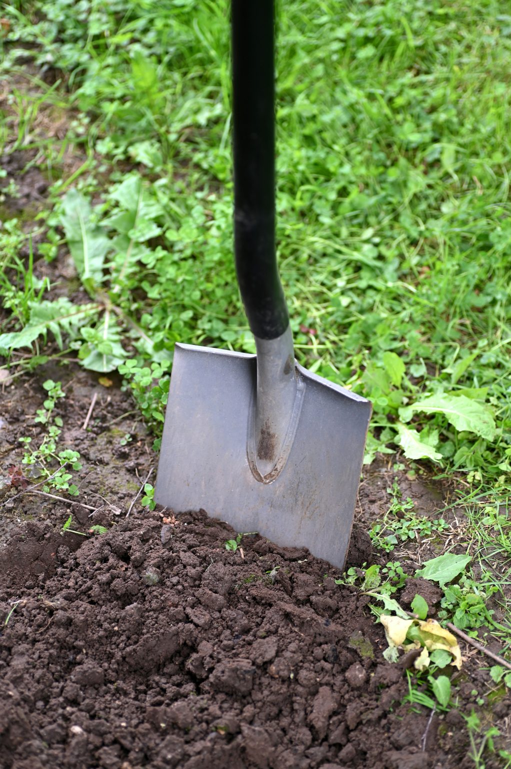 Spring into action by calling ComEd for any Spring digging or tree ...