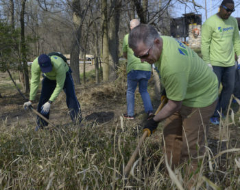 employees cleaning trash in the field