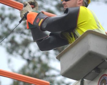 Lineman